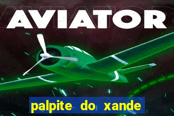 palpite do xande para hoje